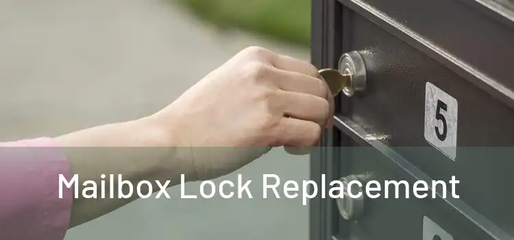  Mailbox Lock Replacement 